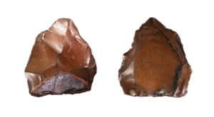 Nucleus Levallois