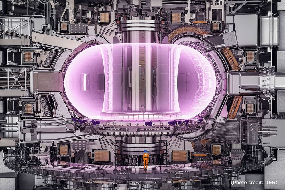 Illustration du tokamak du projet ITER