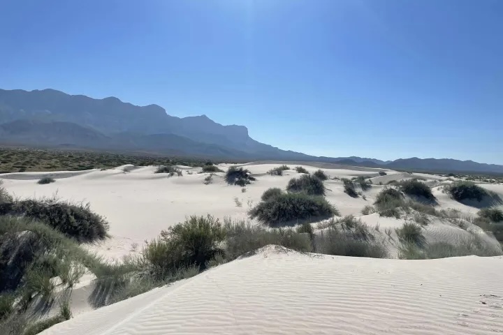 Guadalupe Salt Basin Dunes